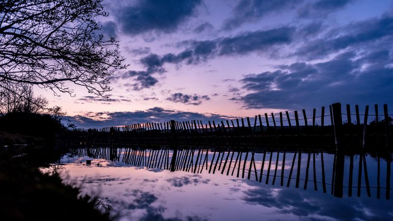 tree, river, fence, reflection, evening, 4k