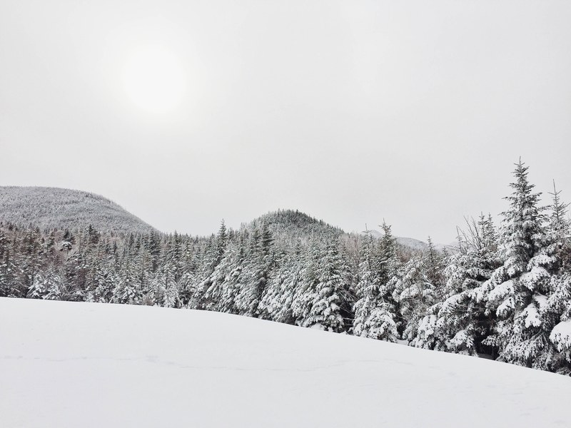 snow covered hill and forest in gray scale, _snow covered hill in gray scale 4k