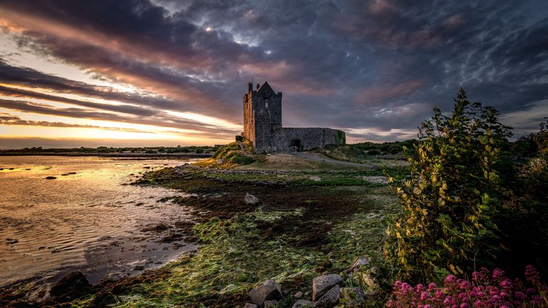 castle, building, coast, water, 4k