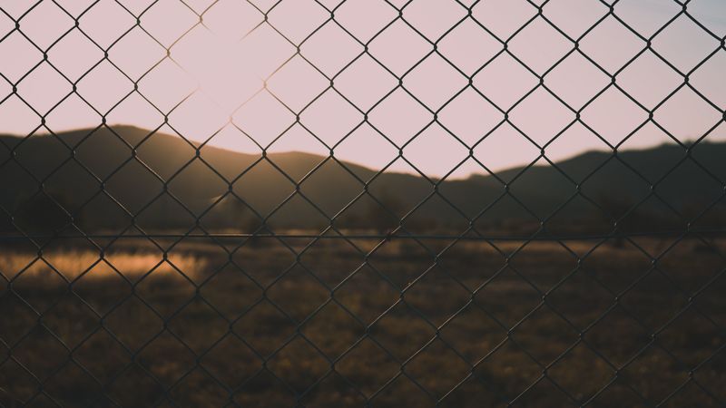 fence, mesh, blur, nature, 4k