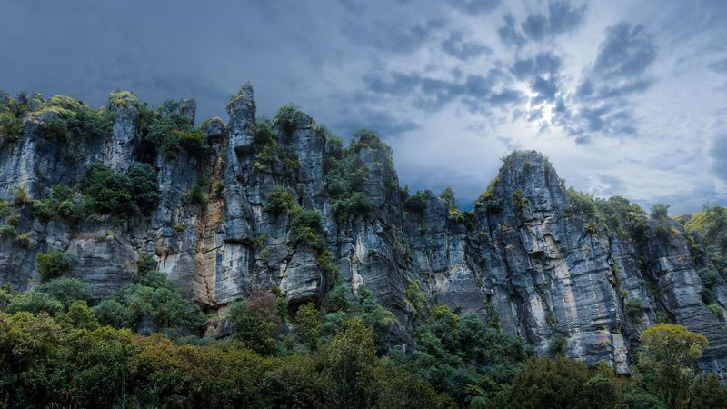 piopio, new zealand, rocks, stones, grass, trees, 4k