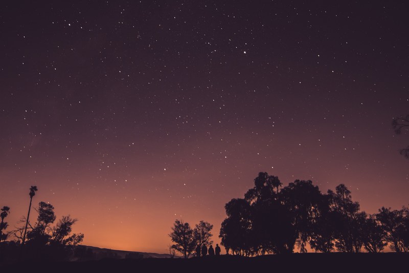 a photo of silhouette trees under a star filled dark purple sky, trees under a purple sky 4k