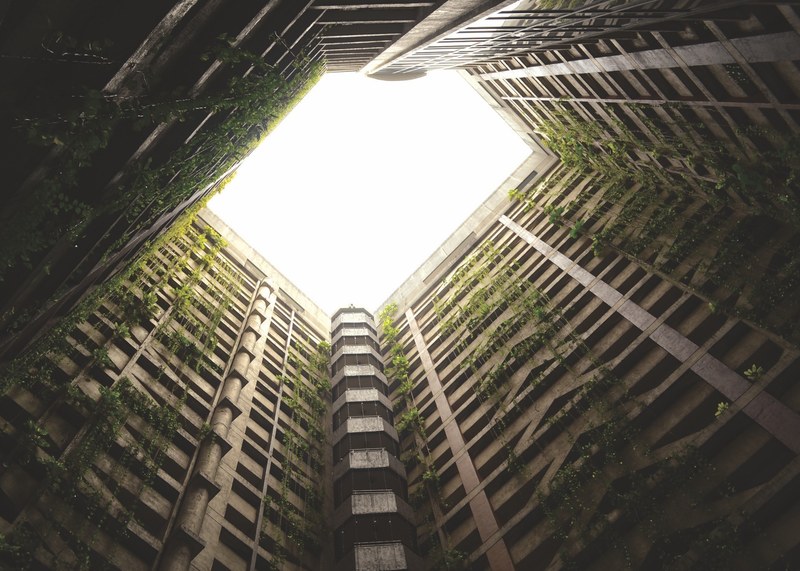 an abandoned building with overgrown vines, abandoned building 4k