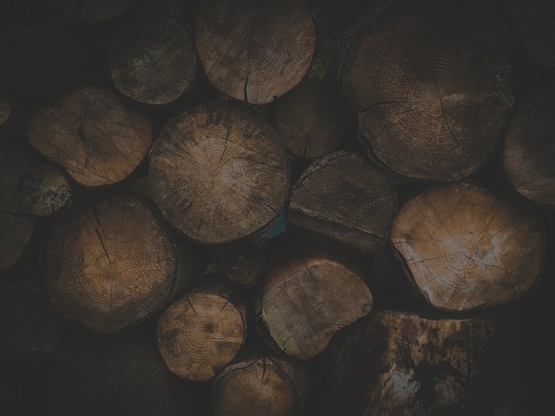 wood log timber and pile 4k