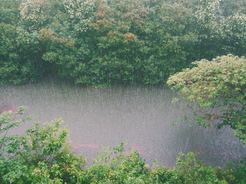heavy rain over a tree lined river, downpour on a river 4k
