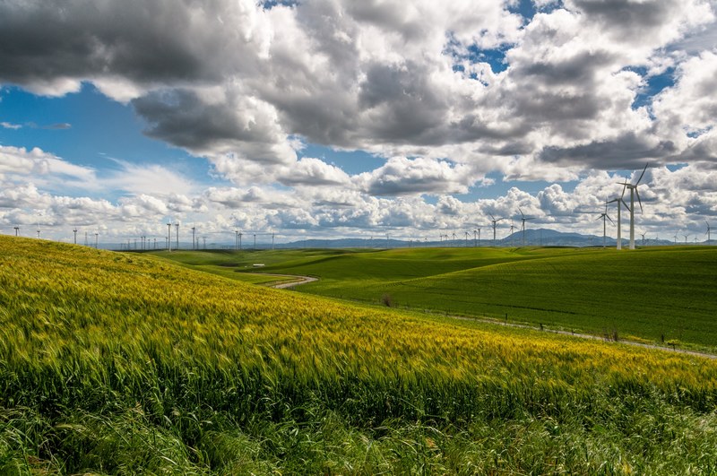 windmill grass field and cloudy 4k