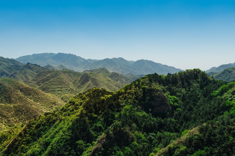 a mountainous rainforest landscape under a clear blue sky, rainforest mountains 4k