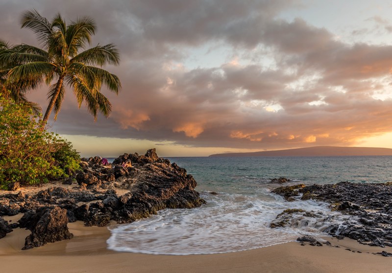 a palm tree on a rocky and sandy beach with the waves crashing during sunset, sunset beach views 4k