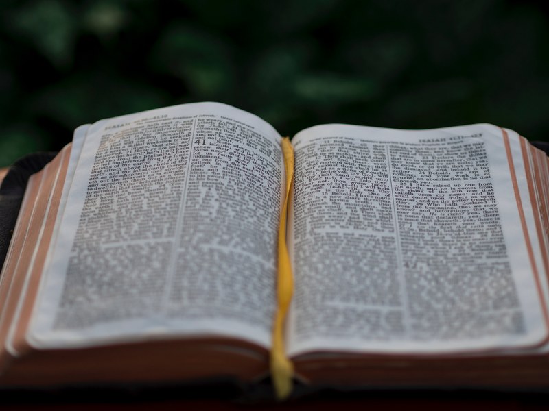 an open bible outdoors, religious text 4k
