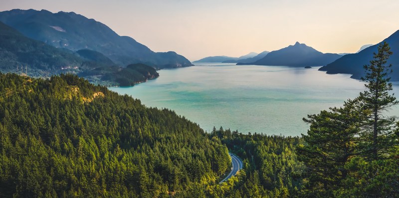 a bend in a road cutting through a dense forest on the shore of a lake, bend in a lakeside road 4k