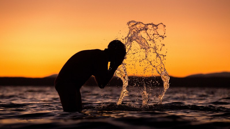 getting ready to swim in the sun rise 4k