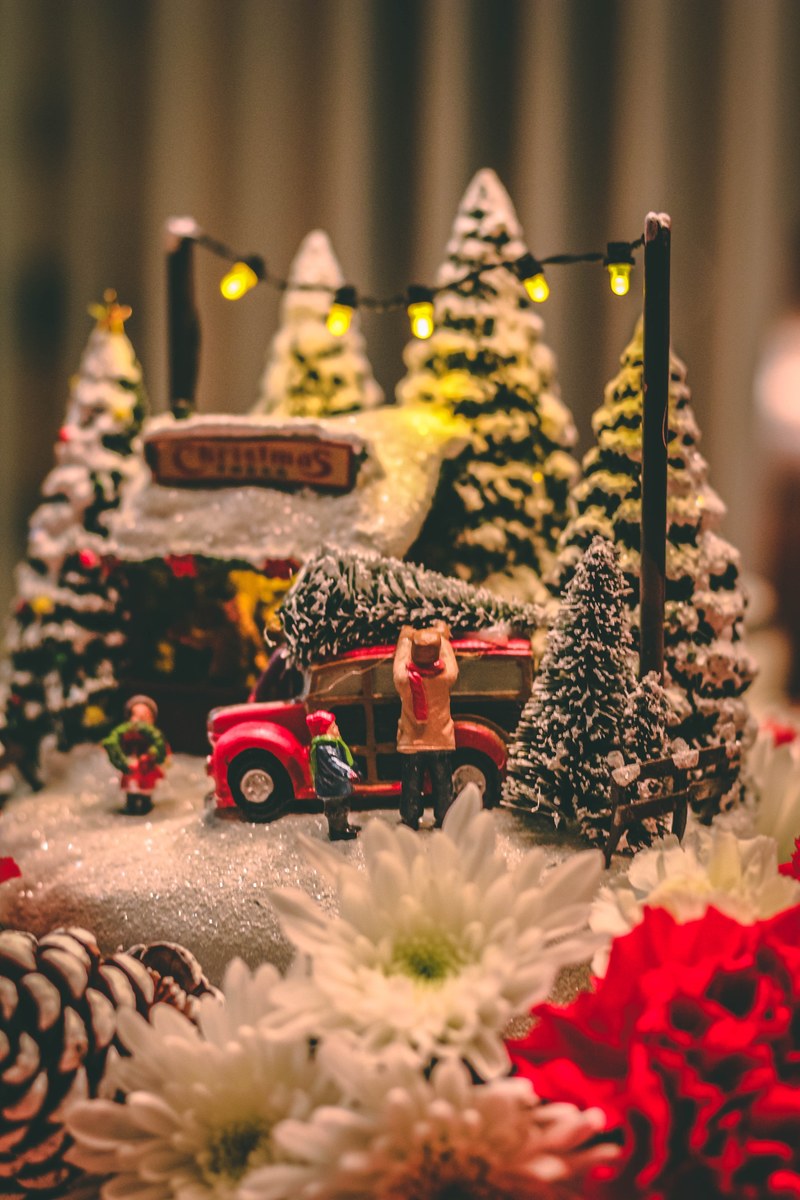 christmas pine winter and festive hd, 4k