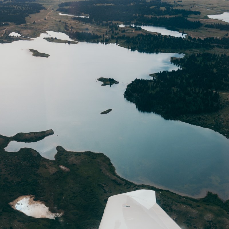 forest tree island and lake 4k