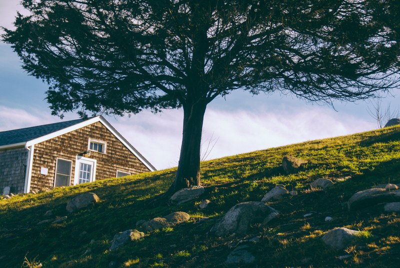 top of a house seen from a hill underneath a tree with grass and rocks in the field, house on a hill 4k