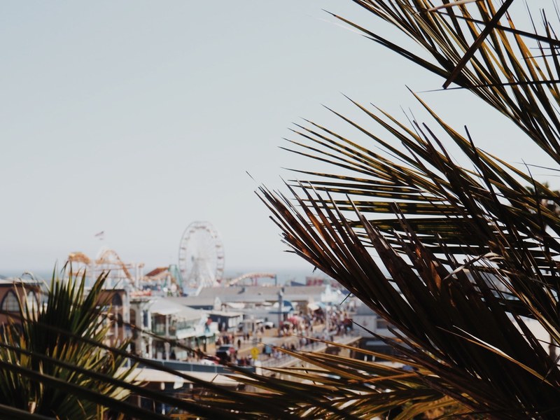 ferris wheel amusement park fun fair and foliage 4k