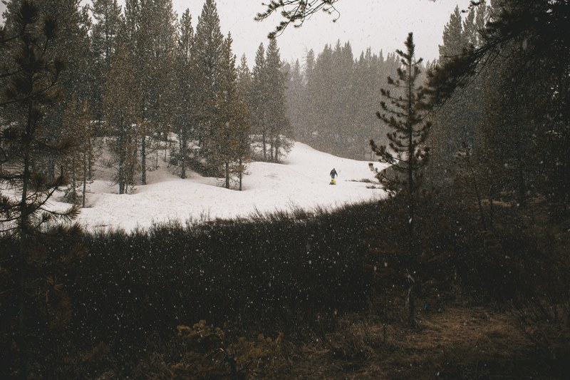 two people sledding on snow near a stretch of trees as snow falls around them, playing in the snow 4k