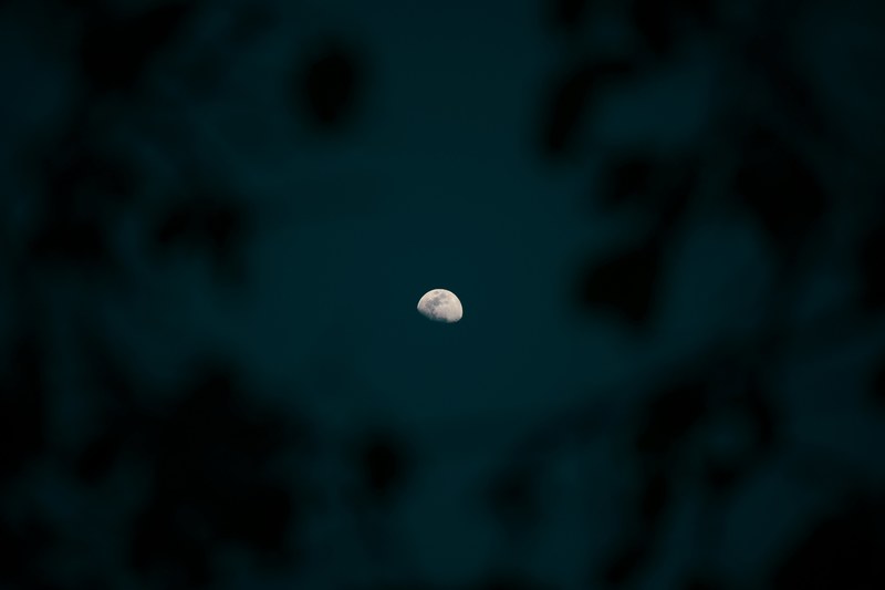 the half moon visible through a net of branches, the half moon through branches 4k