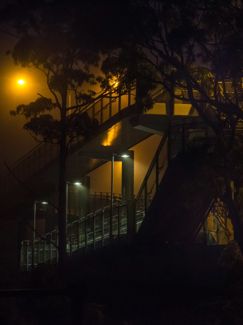 foggy misty mist vision and street light hd, 4k