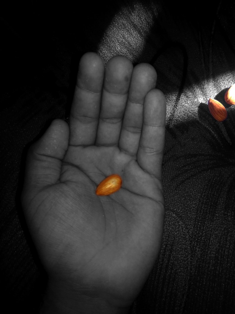 save almond 4k