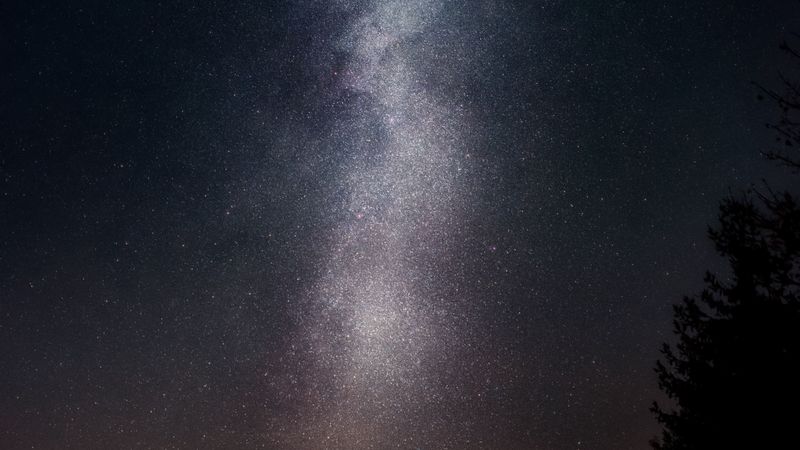 starry sky, night, stars, tree, 4k