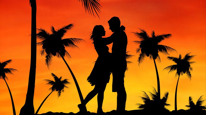 couple, love, palms, sunset, 4k