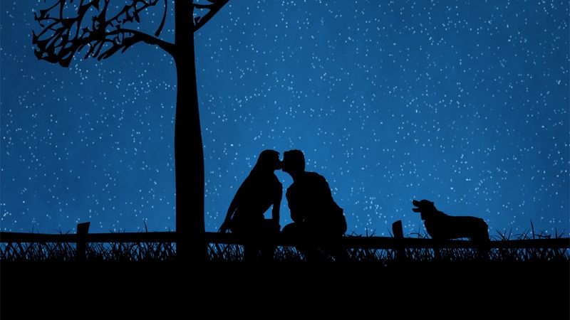 couple, silhouettes, kiss, dog, starry sky, tree, 4k