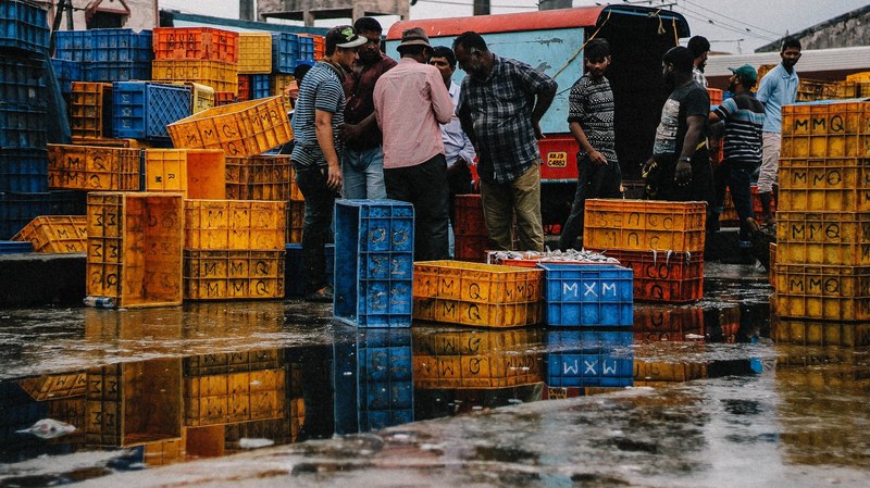 men bargaining near crates with fish at a fish market, bargaining at a fish market 4k
