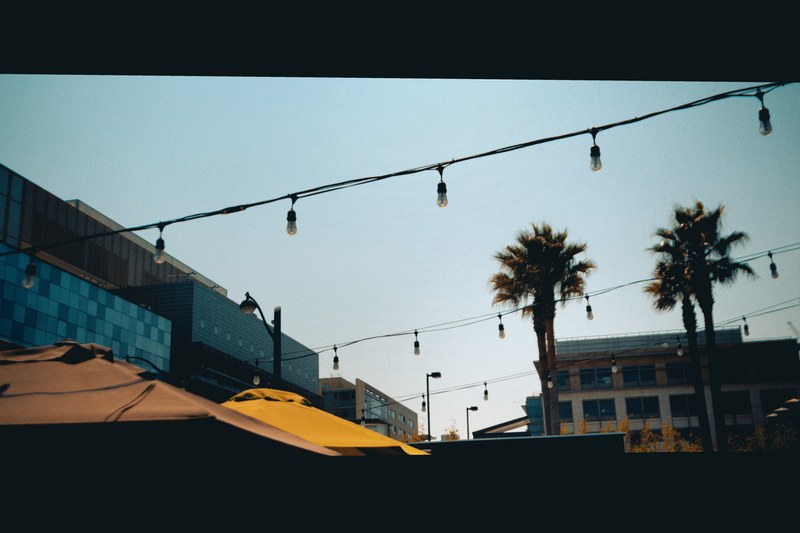 palm tree tree bay area and umbrella 4k