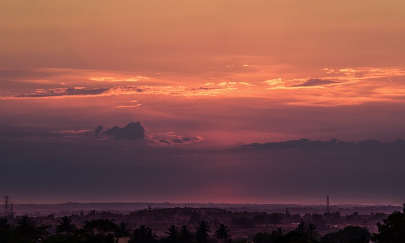 tree outdoor scenic and cloud 4k
