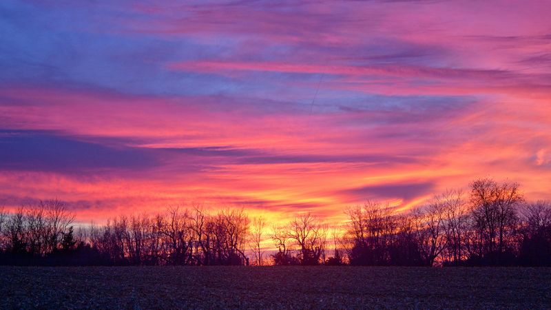 sky, colorful, horizon, trees, 4k