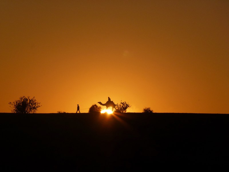 good morning desert 4k