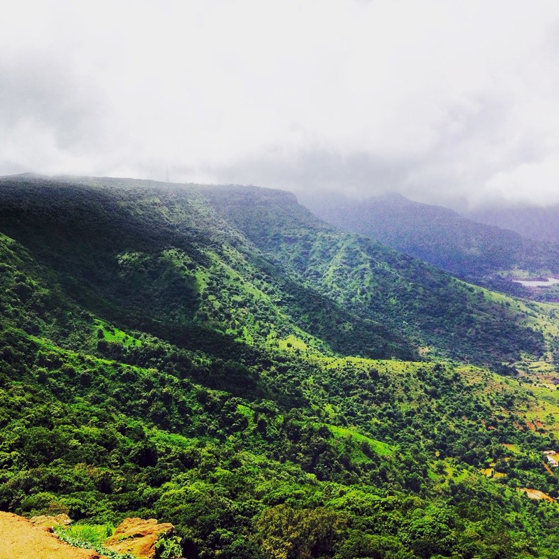 a verdant forest stretching across undulating hills, tropical woods on hills 4k