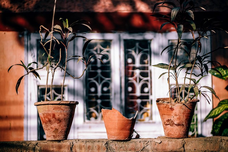 a broken empty flowerpot between two worn out flowerpots with green plants, weathered pots 4k