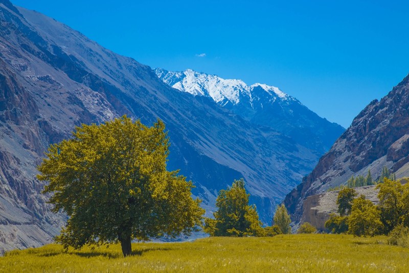 landscape himalaya ladakh and mountain 4k