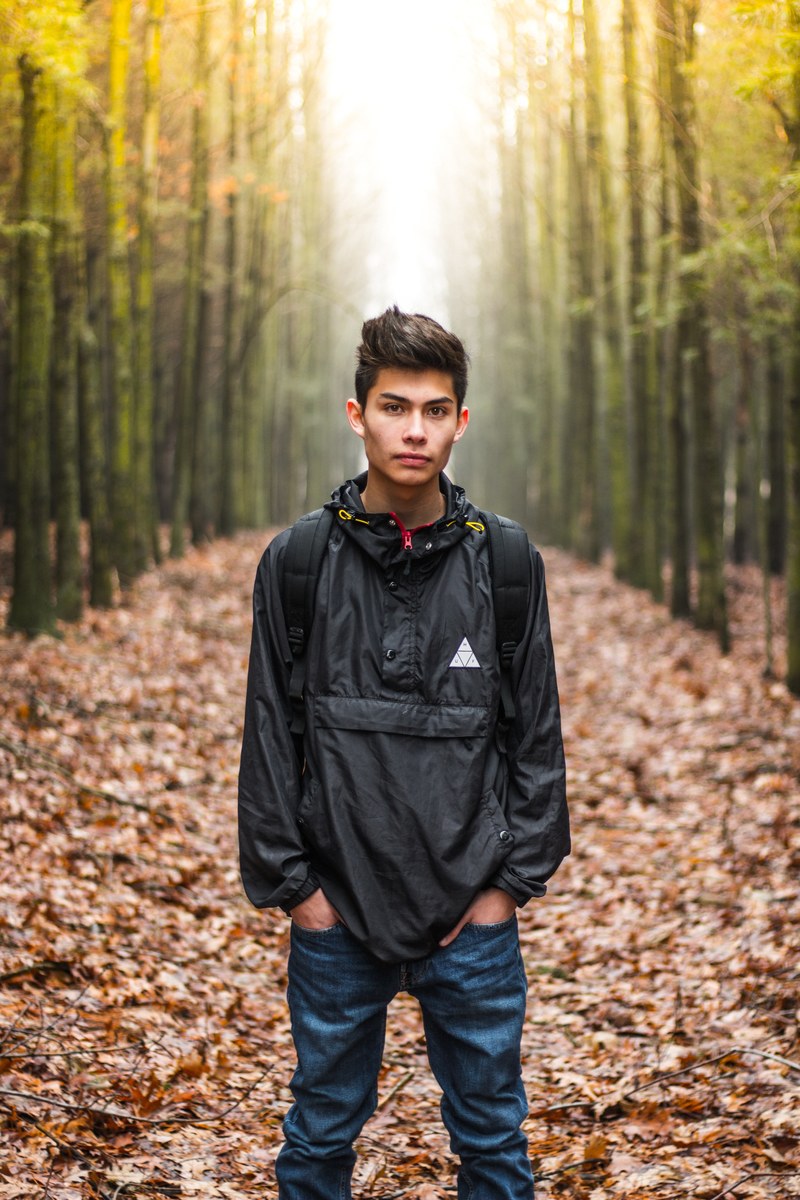 lost in the wilderness 4k