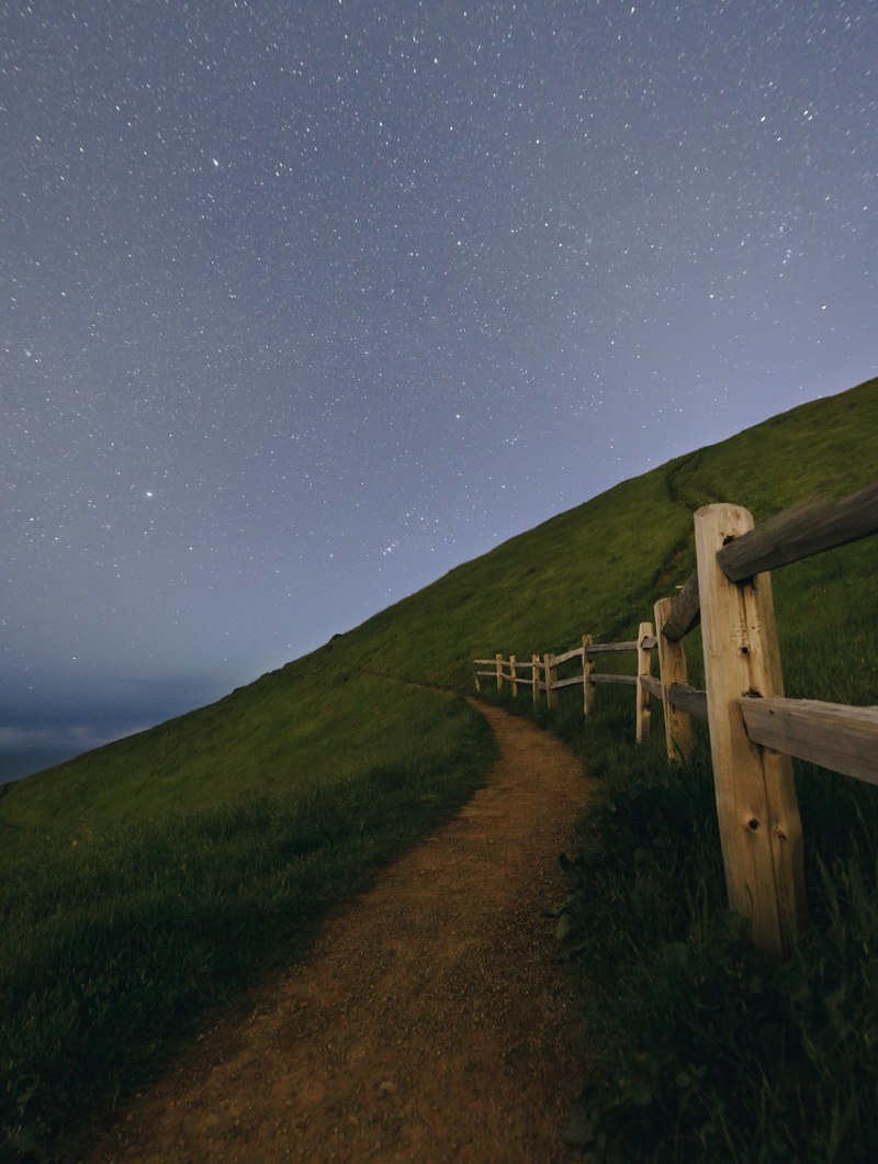 a narrow path on a hill along a log wood fence in mount tamalpais, fence trail at mount tamalpais 4k