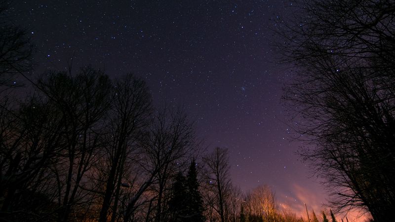 starry sky, trees, night, stars, 4k
