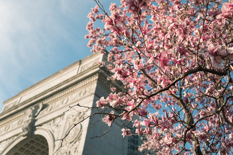 spring washington square park nyc and park 4k