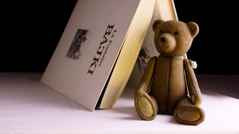 bear, toy, book, 4k