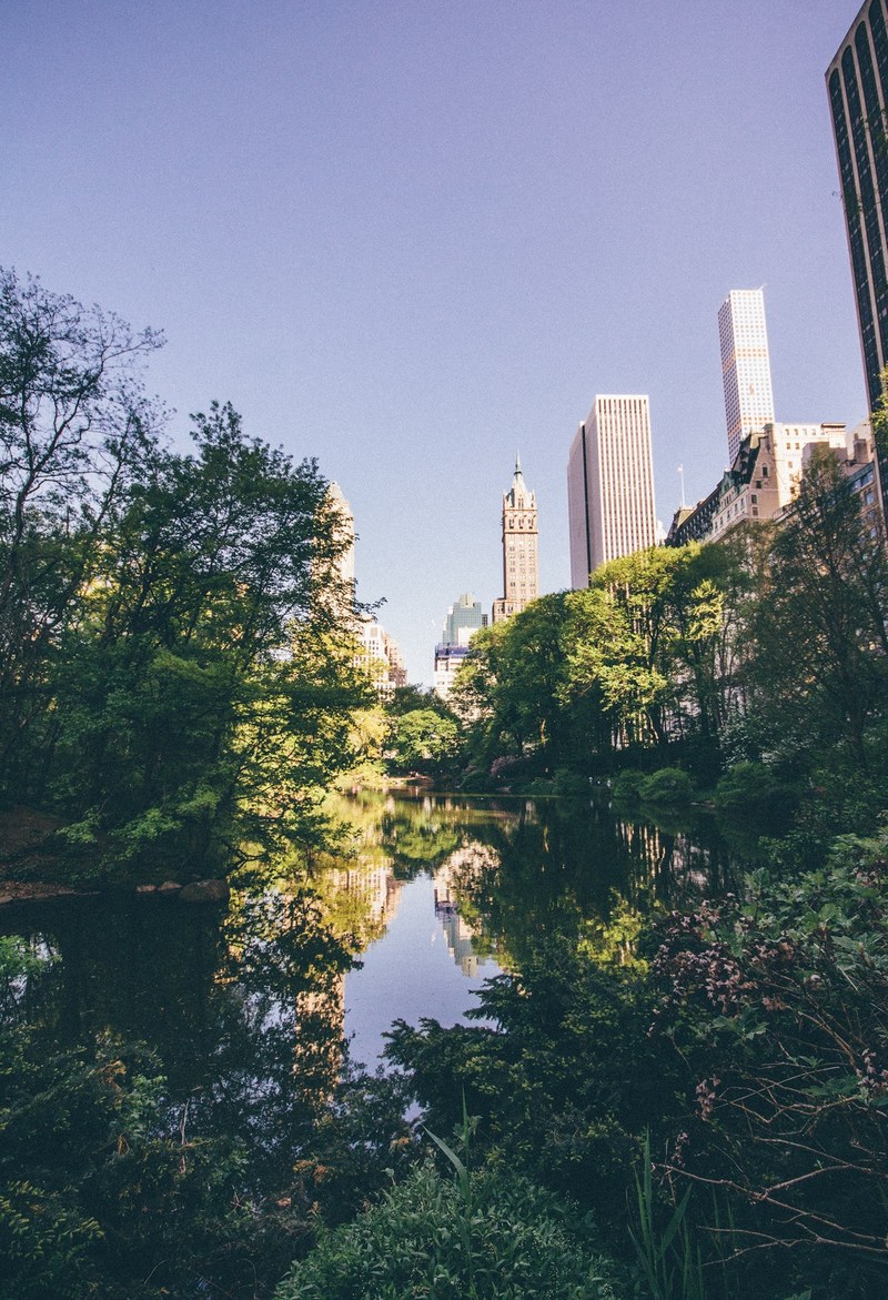 new york nyc central park and park hd, 4k