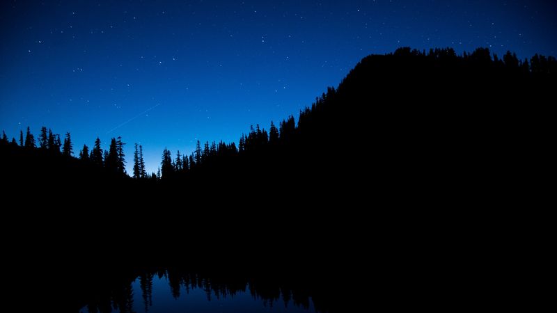 night sky, trees, starry sky, 4k