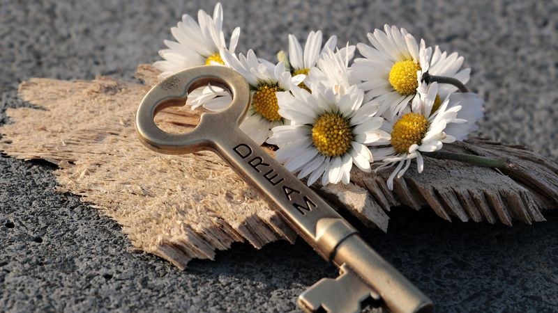 key, daisies, inscription, dream, 4k
