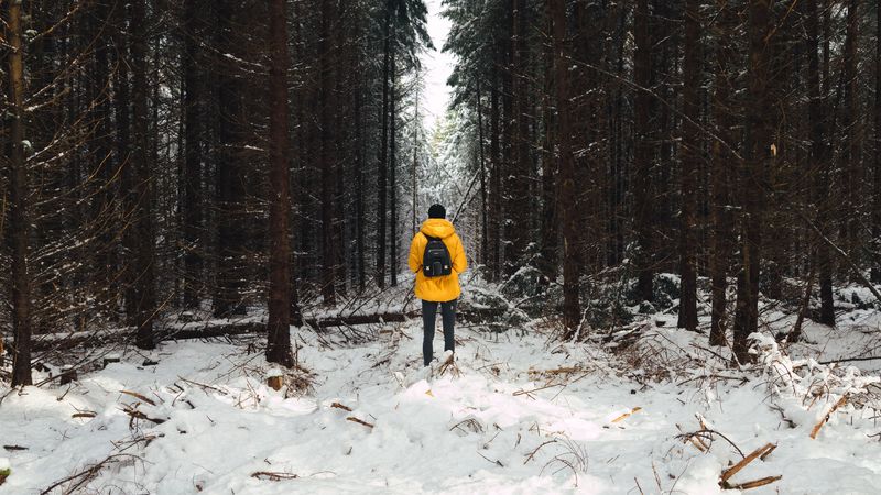 man, forest, snow, winter, trees, 4k