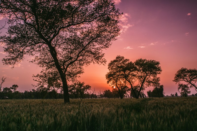 cloud forest sun ray and sunset 4k