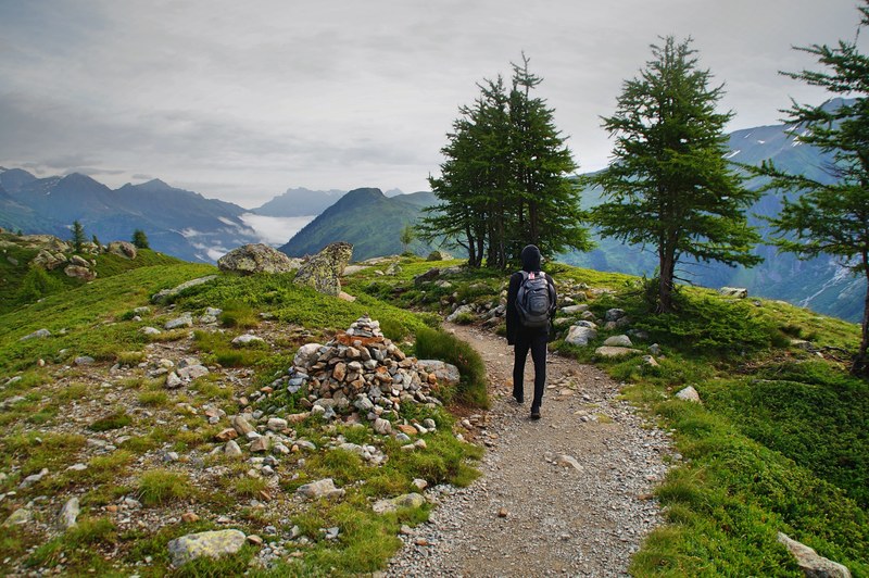 mountain tree hike and grass 4k