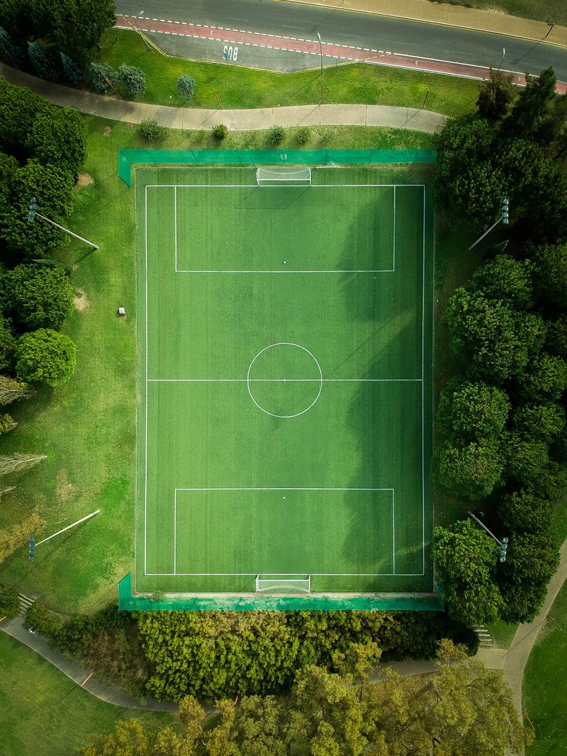 pitch green grass and tree hd, 4k