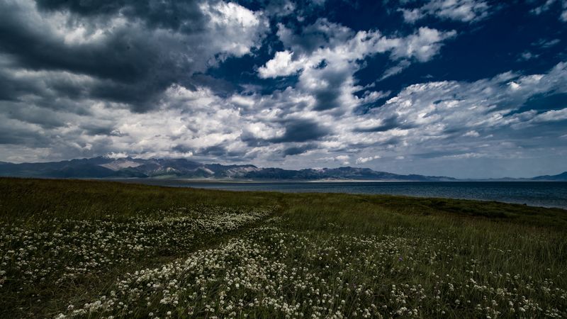 field, flowers, clouds, mountains, 4k