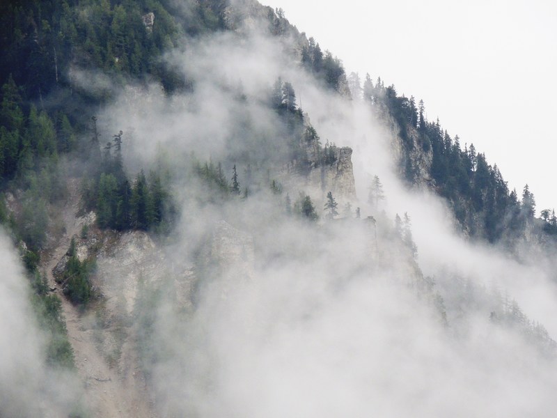 mist rolling down a jagged mountain slope covered with coniferous trees, mist on a jagged slope 4k