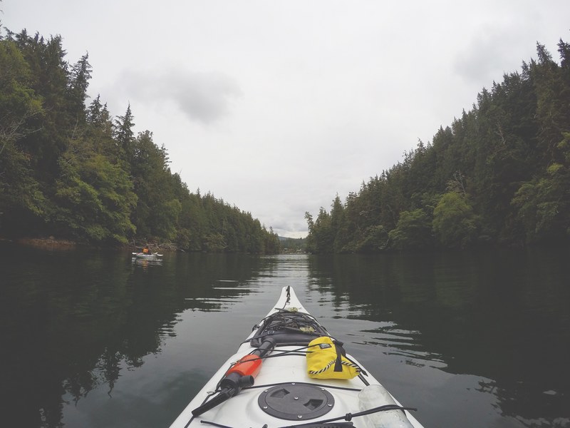 the bow of a white kayak on a tree lined river in bamfield, white kayak on a river 4k