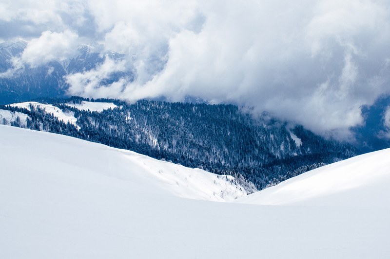 a blanket of snow changes to a forest covered mountain with thick white clouds, snow meets a forest 4k